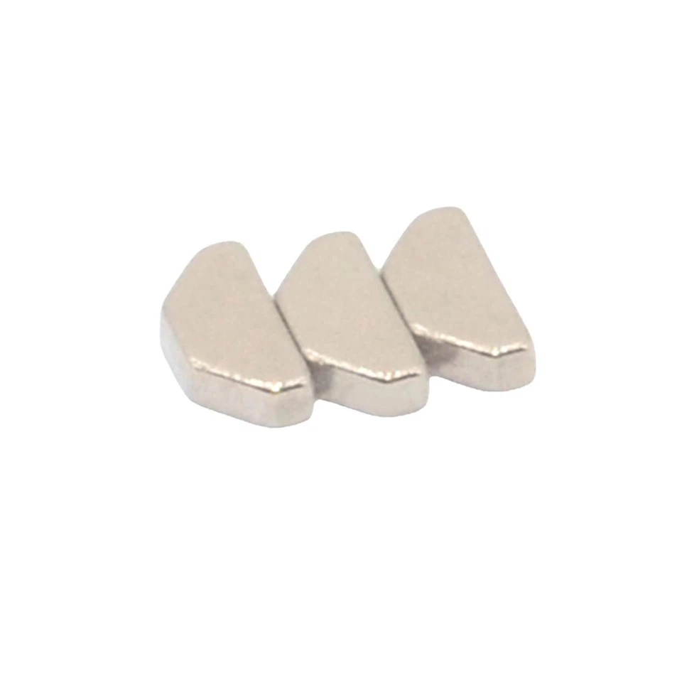 Special shape magnet-5
